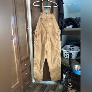 Carhartt level 4 insulated bibs